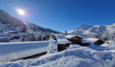 Demi-chalet Le Bief 7 personnes Les Carroz