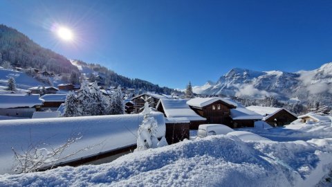 Demi-chalet Le Bief 7 personnes Les Carroz