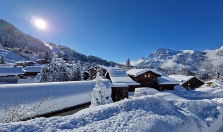 Demi-chalet Le Bief 7 personnes Les Carroz