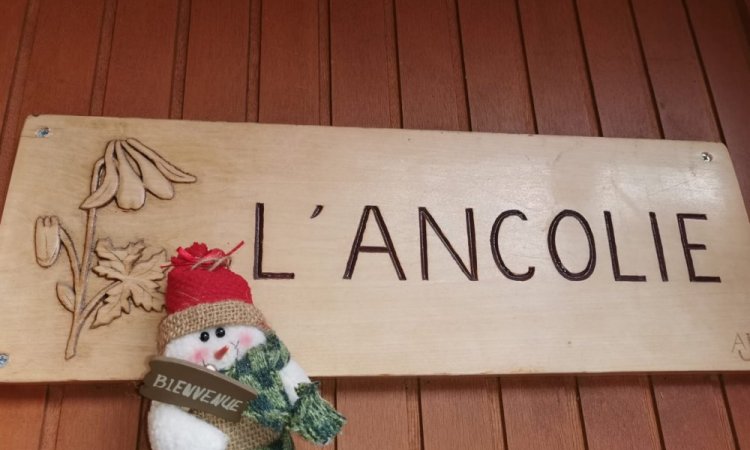 Location appartement 8 personnes : L'ancolie 65 m² - Les Carroz - Location Moret
